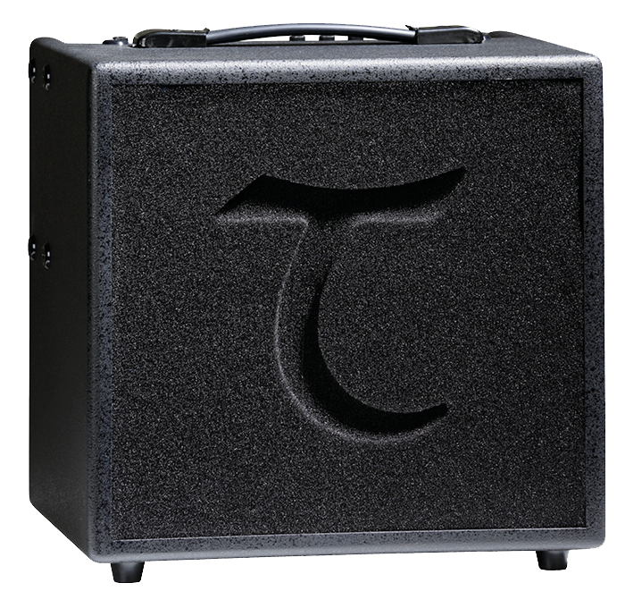 TANGLEWOOD AMPLIFICADOR T-6 60W C/FUNDA
